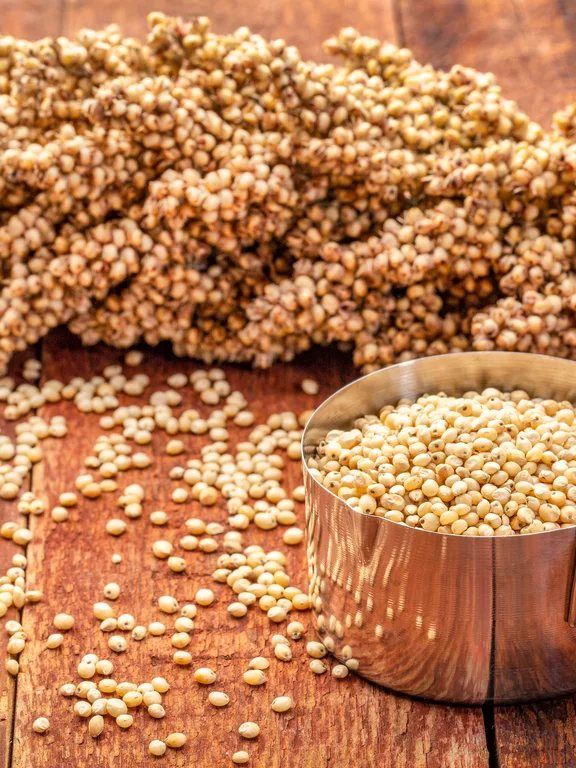 Premium Jowar (Sorghum)